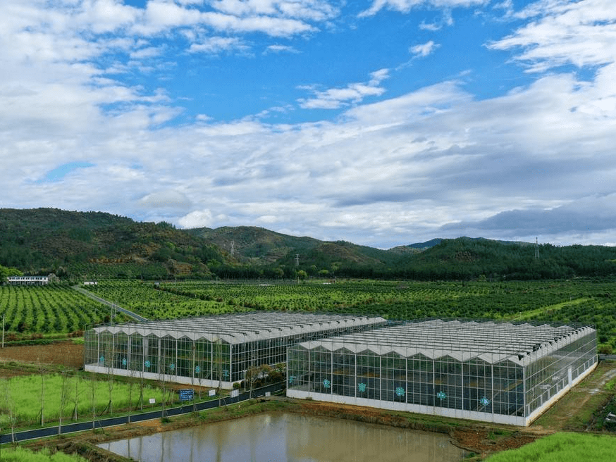 江西家庭农场现代化，小型养鸡设备引领潮流,江西小型养鸡设备图示,江西小型养鸡设备,养鸡设备,小型养鸡设备,第1张